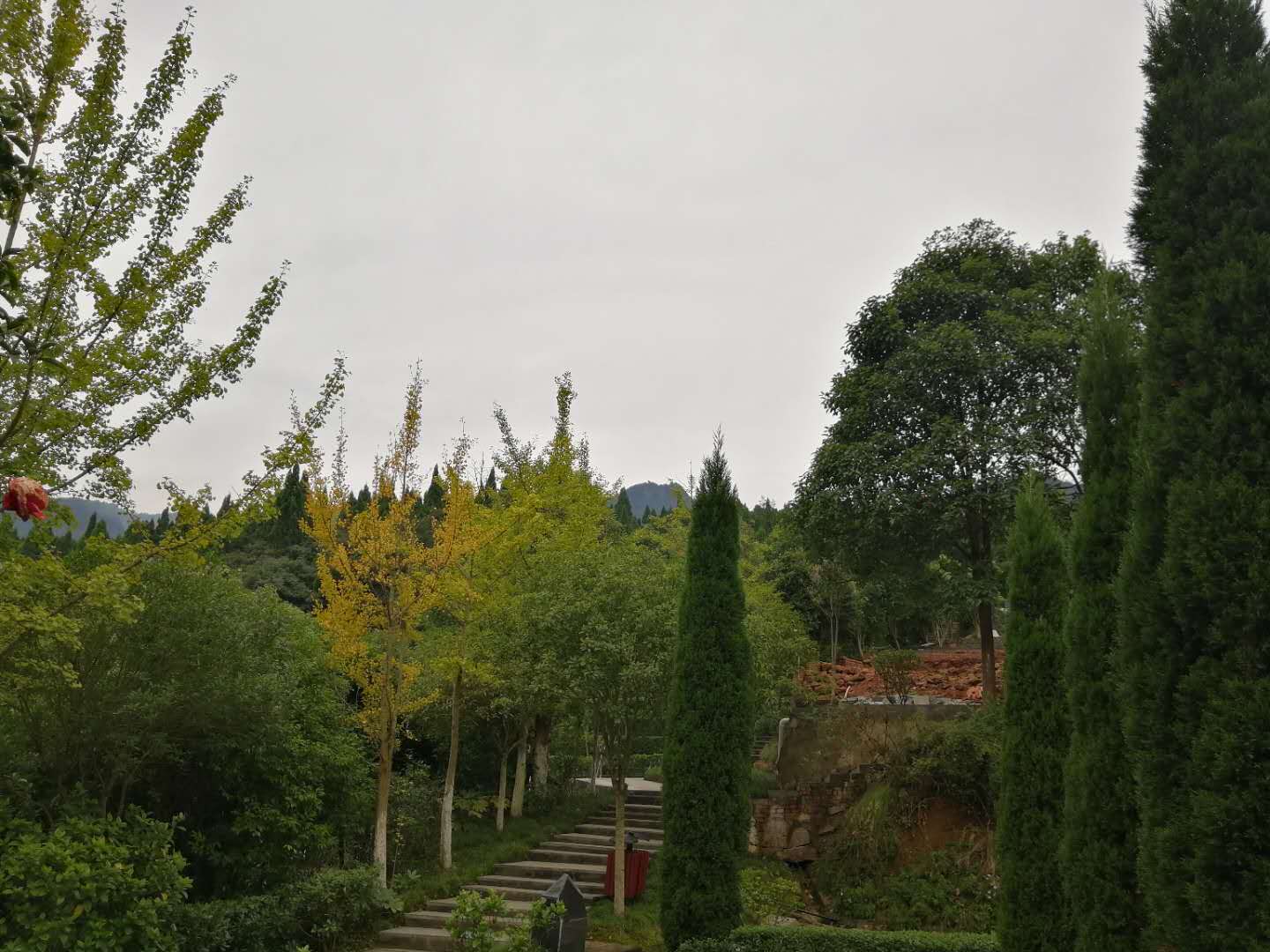 2020100910055400.jpg