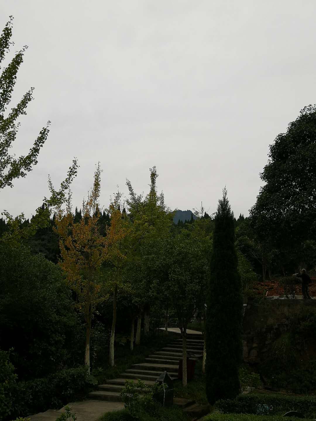 2020100910055407.jpg