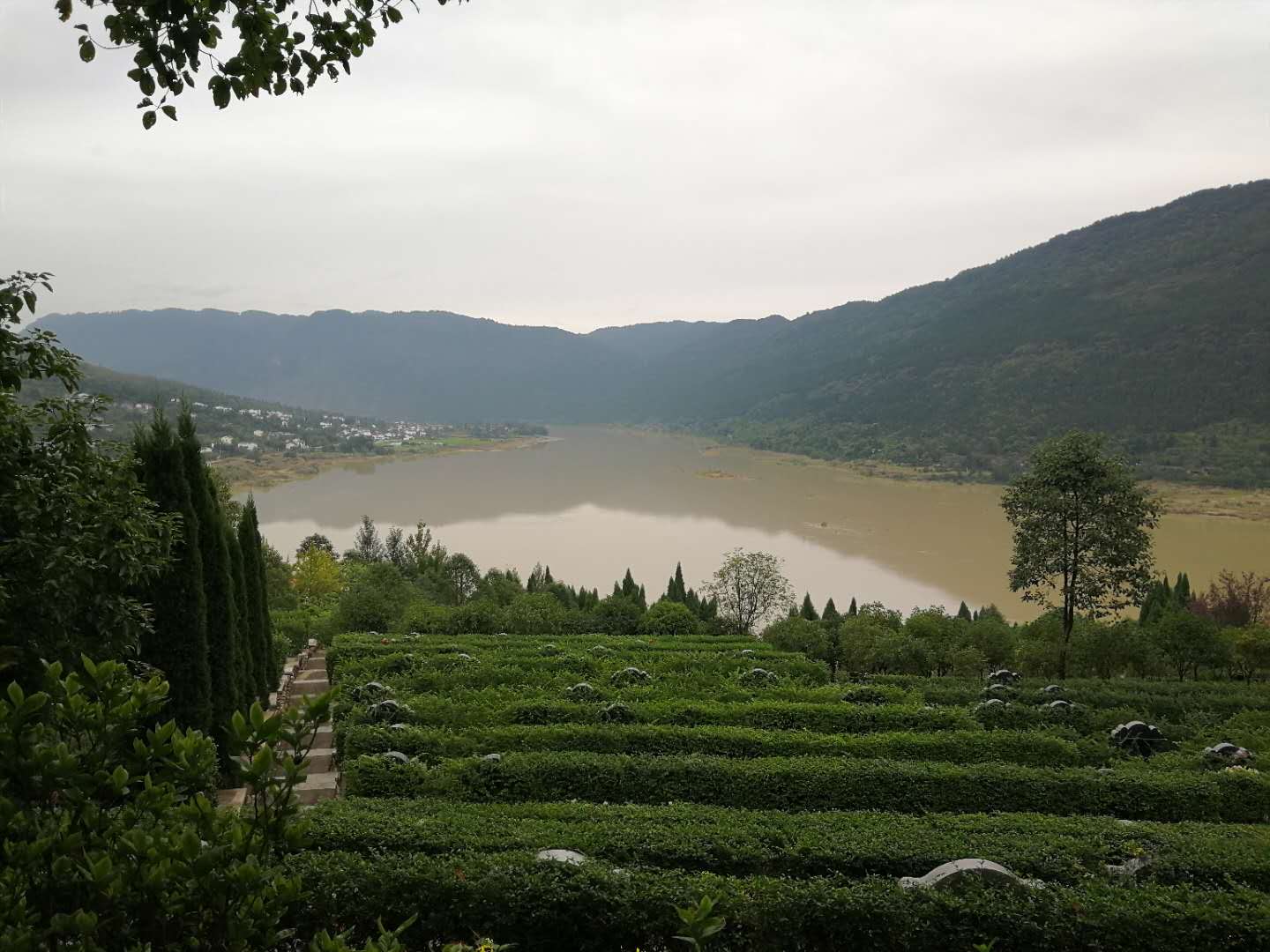2020100910055408.jpg