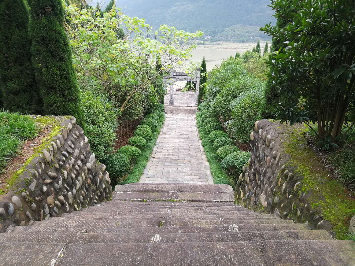 2020100910055608.jpg