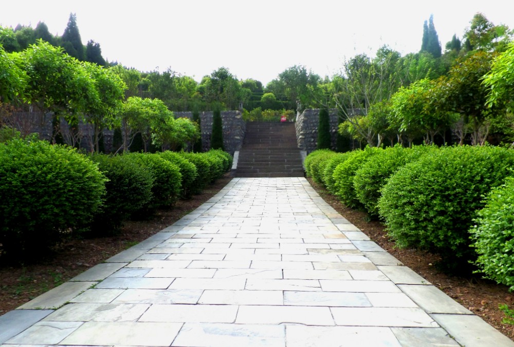路.jpg